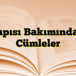 Yapısı Bakımından Cümleler 